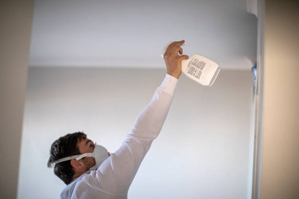 Trusted Salem Heights, OH Mold Removal Experts