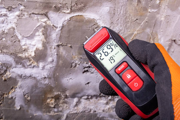 Crawl Space Mold Removal in Salem Heights, OH