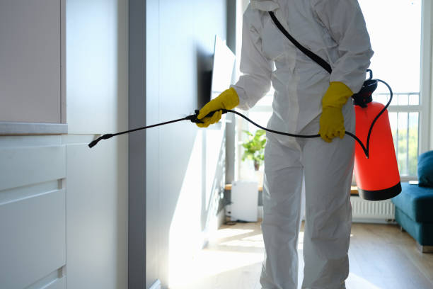 Best Crawl Space Mold Removal  in Salem Heights, OH